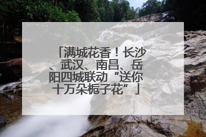 满城花香！长沙、武汉、南昌、岳阳四城联动“送你十万朵栀子花”