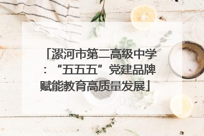 漯河市第二高级中学：“五五五”党建品牌赋能教育高质量发展
