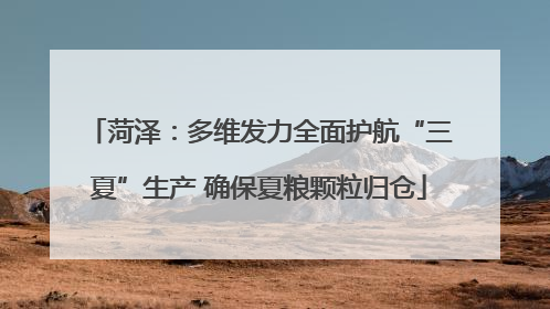 菏泽：多维发力全面护航“三夏”生产 确保夏粮颗粒归仓