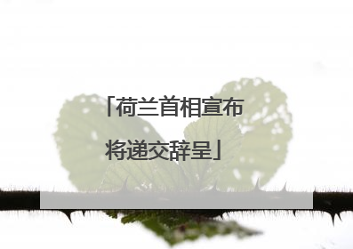 荷兰首相宣布将递交辞呈