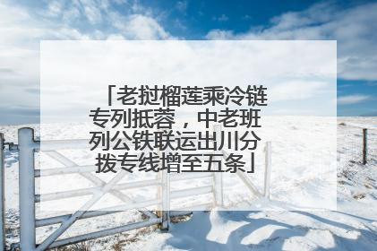 老挝榴莲乘冷链专列抵蓉，中老班列公铁联运出川分拨专线增至五条