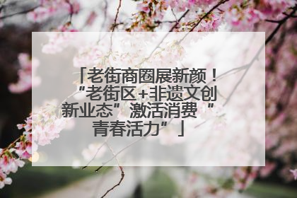 老街商圈展新颜！“老街区+非遗文创新业态”激活消费“青春活力”