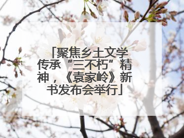 聚焦乡土文学 传承“三不朽”精神，《袁家岭》新书发布会举行