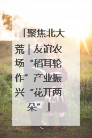 聚焦北大荒｜友谊农场“稻耳轮作”产业振兴“花开两朵”