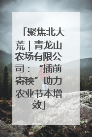 聚焦北大荒｜青龙山农场有限公司：“插前寄秧”助力农业节本增效