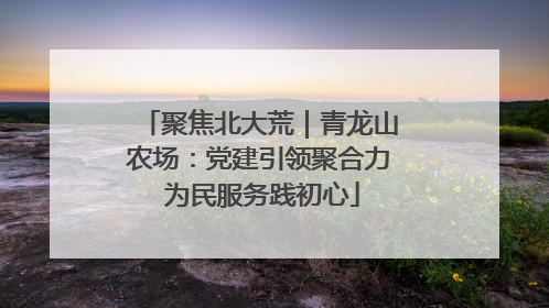 聚焦北大荒｜青龙山农场：党建引领聚合力 为民服务践初心