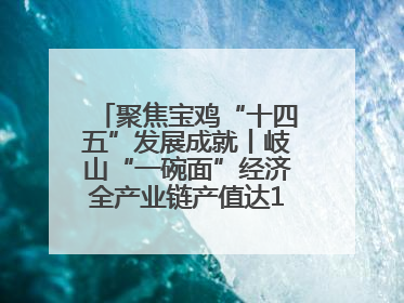聚焦宝鸡“十四五”发展成就丨岐山“一碗面”经济全产业链产值达162亿元 入选全国典型县