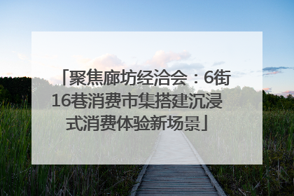 聚焦廊坊经洽会：6街16巷消费市集搭建沉浸式消费体验新场景