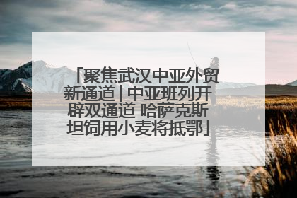 聚焦武汉中亚外贸新通道│中亚班列开辟双通道 哈萨克斯坦饲用小麦将抵鄂