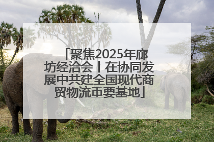 聚焦2025年廊坊经洽会丨在协同发展中共建全国现代商贸物流重要基地