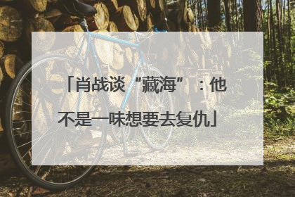 肖战谈“藏海”：他不是一味想要去复仇