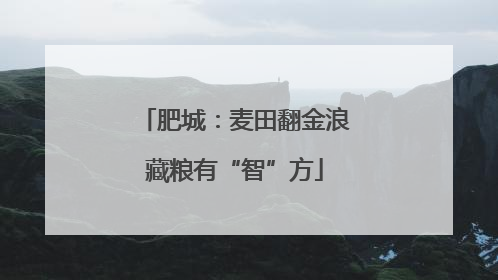 肥城：麦田翻金浪藏粮有“智”方