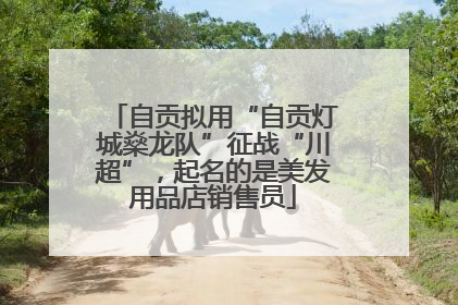 自贡拟用“自贡灯城燊龙队”征战“川超”，起名的是美发用品店销售员