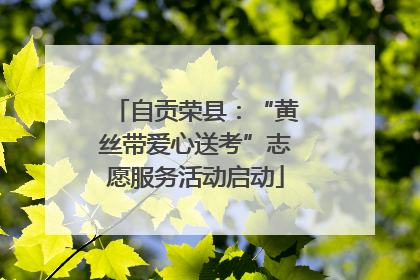 自贡荣县：“黄丝带爱心送考”志愿服务活动启动