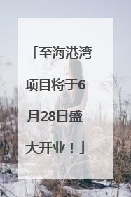 至海港湾项目将于6月28日盛大开业！