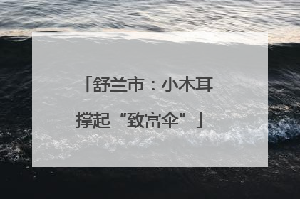舒兰市：小木耳撑起“致富伞”