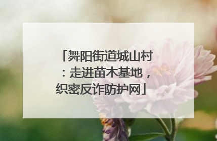 舞阳街道城山村：走进苗木基地，织密反诈防护网