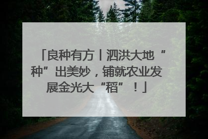 良种有方丨泗洪大地“种”出美妙，铺就农业发展金光大“稻”！