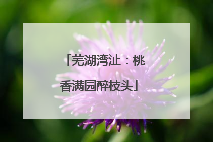 芜湖湾沚：桃香满园醉枝头
