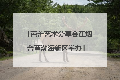 芭蕾艺术分享会在烟台黄渤海新区举办