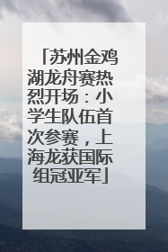 苏州金鸡湖龙舟赛热烈开场：小学生队伍首次参赛，上海龙获国际组冠亚军