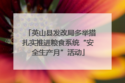 英山县发改局多举措扎实推进粮食系统“安全生产月”活动