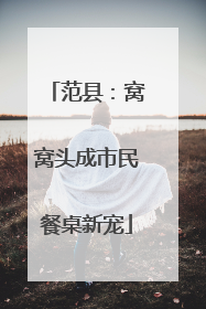 范县：窝窝头成市民餐桌新宠
