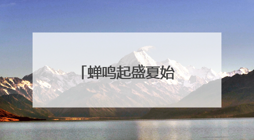 蝉鸣起盛夏始！交运温馨校车开展节气主题流动课堂活动