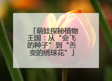 萌娃探秘植物王国：从“会飞的种子”到“善变的绣球花”