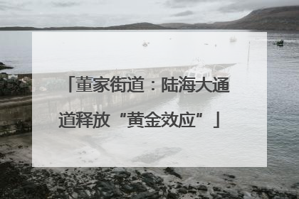 董家街道：陆海大通道释放“黄金效应”