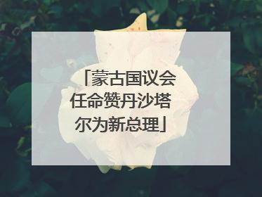 蒙古国议会任命赞丹沙塔尔为新总理