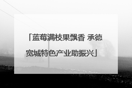 蓝莓满枝果飘香 承德宽城特色产业助振兴