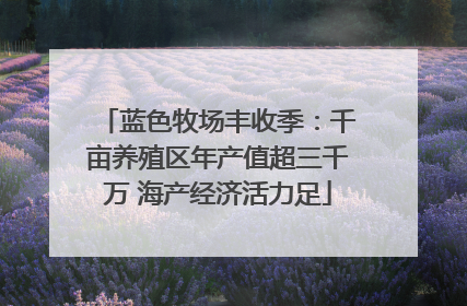 蓝色牧场丰收季：千亩养殖区年产值超三千万 海产经济活力足