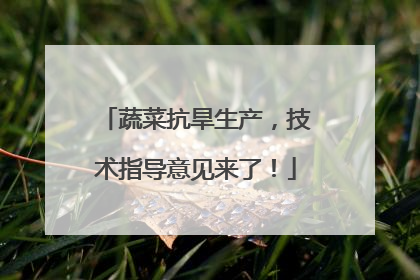 蔬菜抗旱生产，技术指导意见来了！