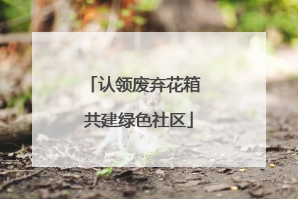 认领废弃花箱 共建绿色社区