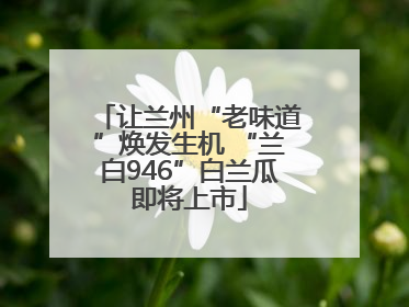 让兰州“老味道”焕发生机 “兰白946”白兰瓜即将上市