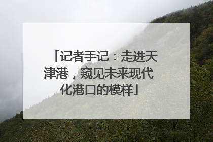 记者手记：走进天津港，窥见未来现代化港口的模样