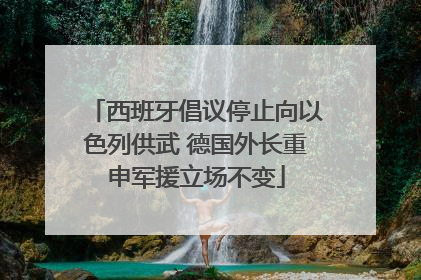 西班牙倡议停止向以色列供武 德国外长重申军援立场不变