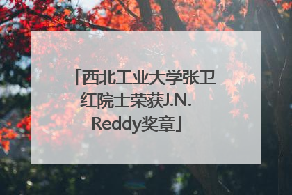 西北工业大学张卫红院士荣获J.N.Reddy奖章
