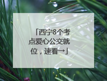 西宁8个考点爱心公交就位，速看→