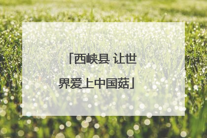 西峡县 让世界爱上中国菇