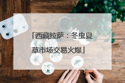 西藏拉萨：冬虫夏草市场交易火爆