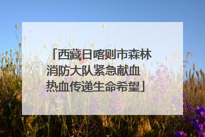 西藏日喀则市森林消防大队紧急献血 热血传递生命希望