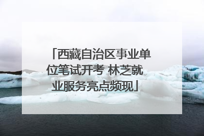 西藏自治区事业单位笔试开考 林芝就业服务亮点频现