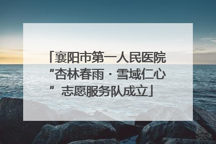 襄阳市第一人民医院“杏林春雨・雪域仁心”志愿服务队成立