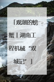 观潮的螃蟹丨湖南工程机械“双城记”