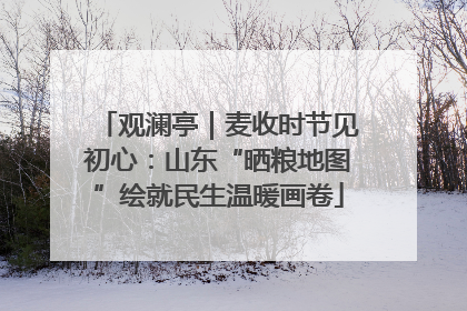 观澜亭｜麦收时节见初心：山东“晒粮地图”绘就民生温暖画卷
