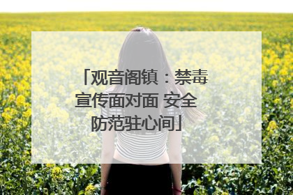 观音阁镇：禁毒宣传面对面 安全防范驻心间