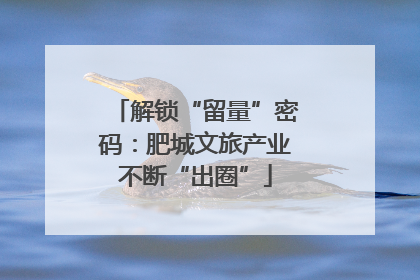 解锁“留量”密码：肥城文旅产业不断“出圈”