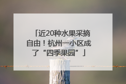 近20种水果采摘自由！杭州一小区成了“四季果园”